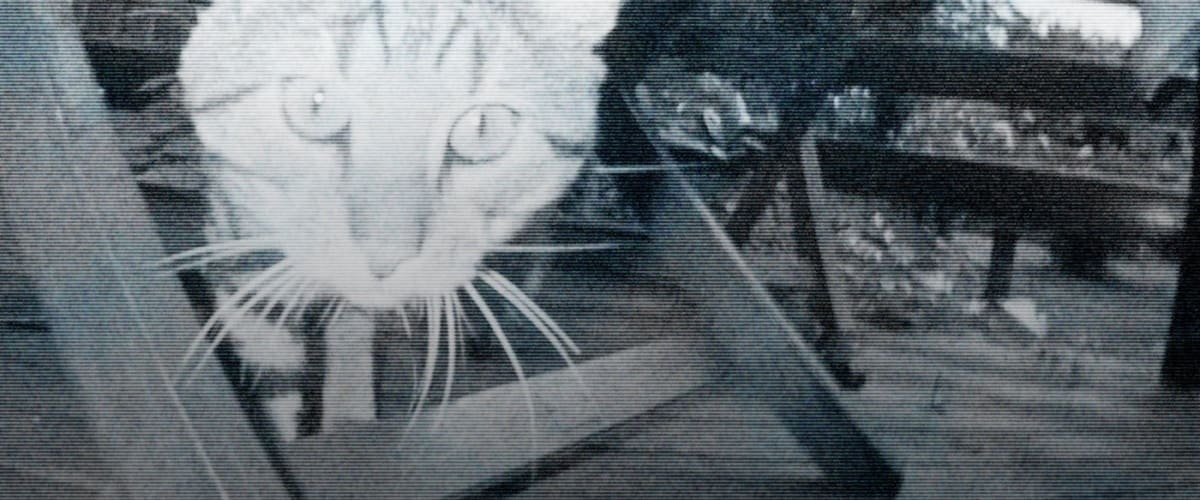 10 Tips On How To Become A Better Home Videomaker