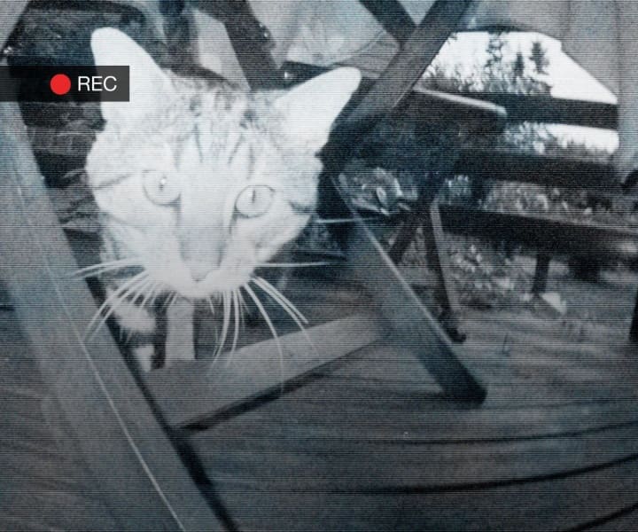 10 Tips On How To Become A Better Home Videomaker